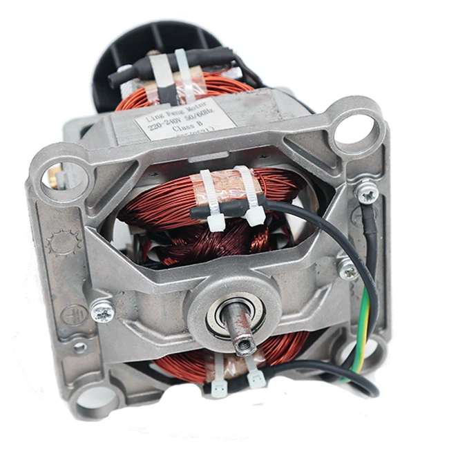AC Universal Icer Motor